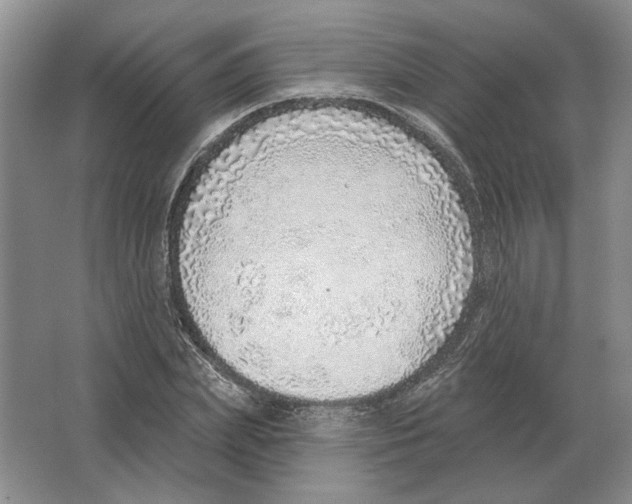 X0000063450831200602171856