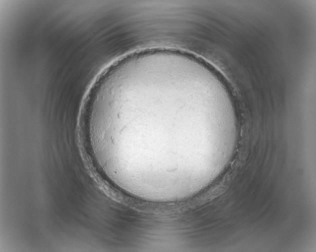 X0000063450832200602171856