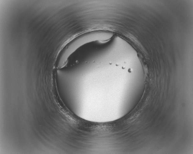 X0000063450834200602171856