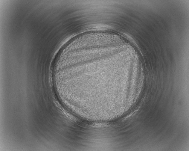 X0000063450835200602171856