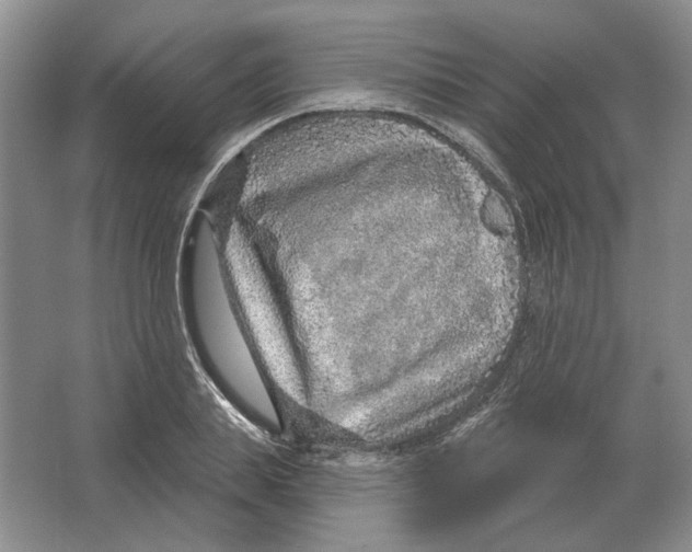 X0000063450839200602171856