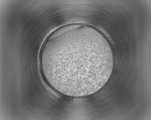 X0000063450840200602171856