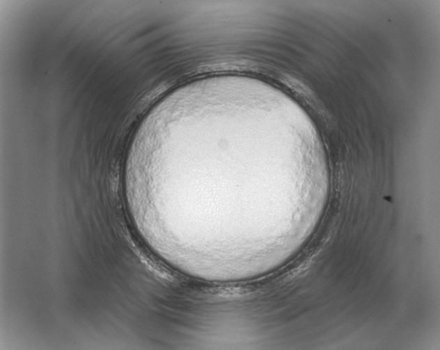 X0000063450841200602171856