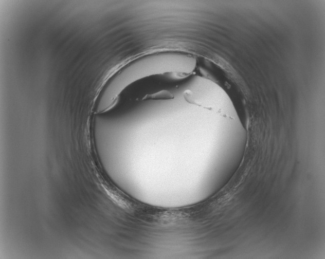 X0000063450842200602171856