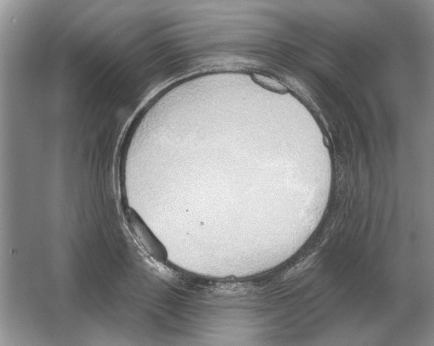 X0000063450843200602171856