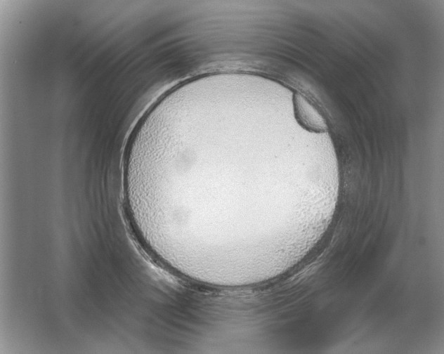 X0000063450844200602171856