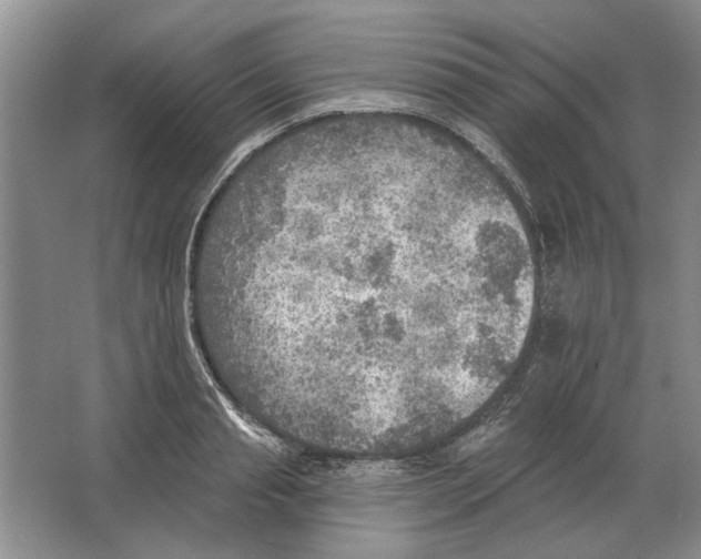 X0000063450845200602171856