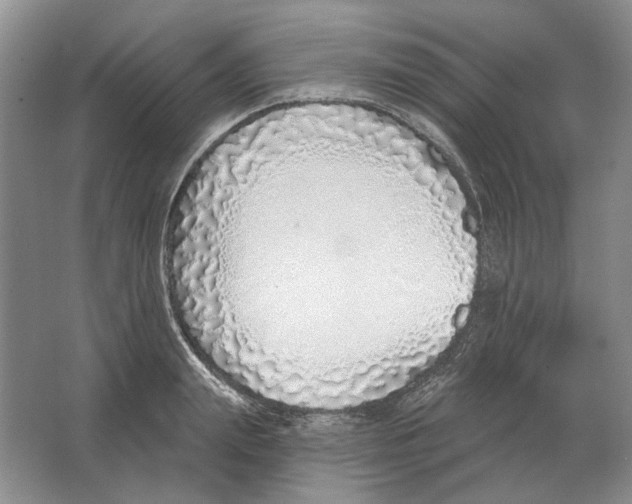 X0000063450847200602171856