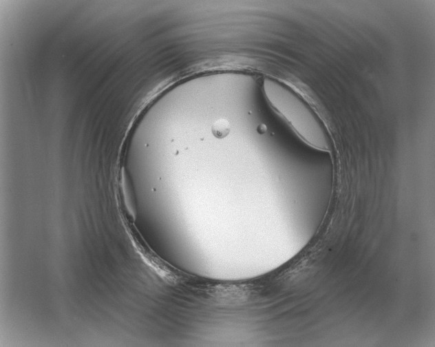 X0000063450850200602171856