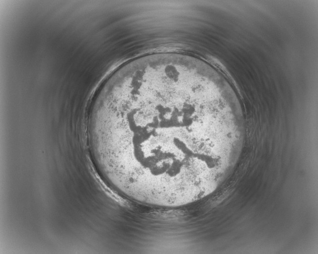 X0000063450851200602171856