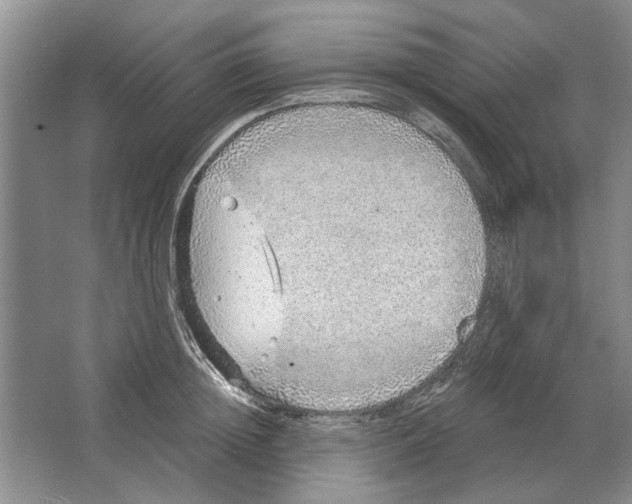 X0000063450852200602171856