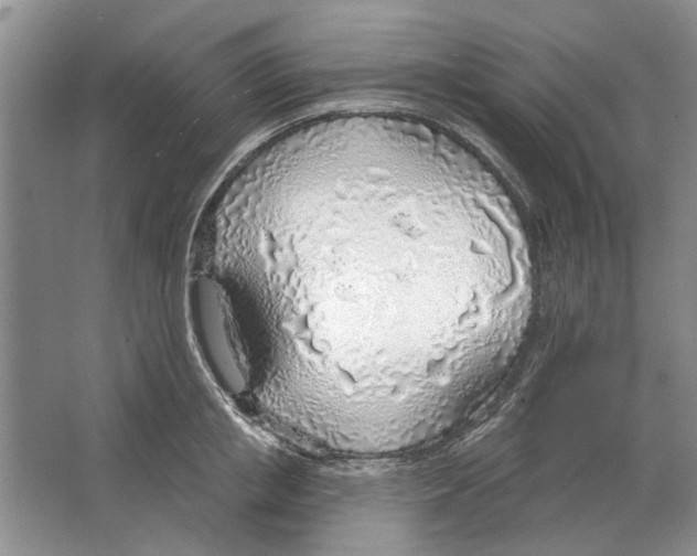 X0000063450853200602171856