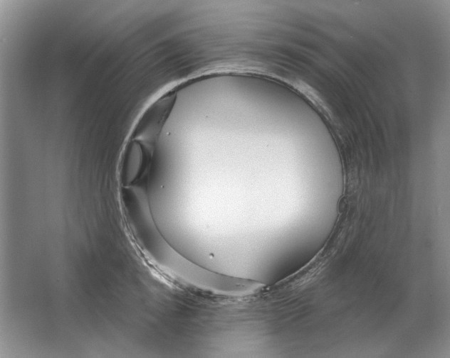 X0000063450854200602171856