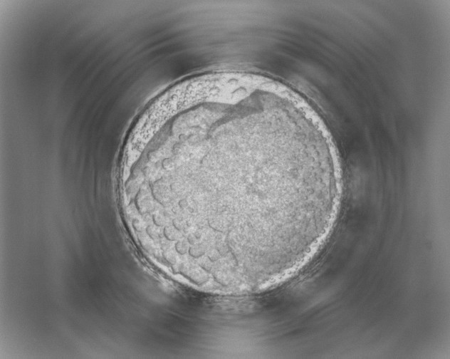 X0000063450856200602171856