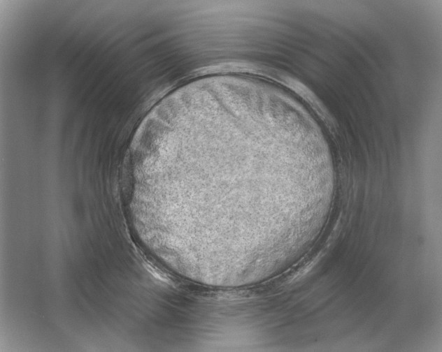 X0000063450857200602171856