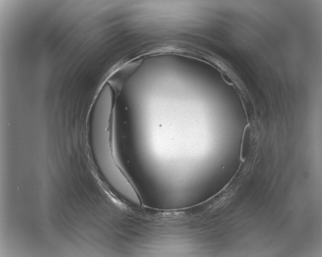 X0000063450858200602171856