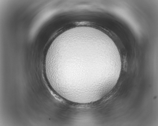 X0000063450861200602171856