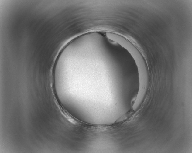 X0000063450862200602171856