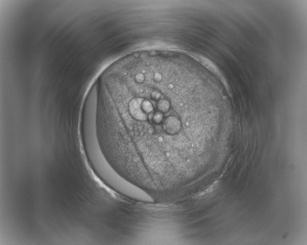 X0000063450863200602171856