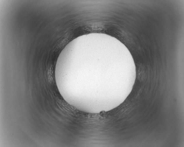 X0000063450866200602171855