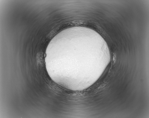 X0000063450867200602171855