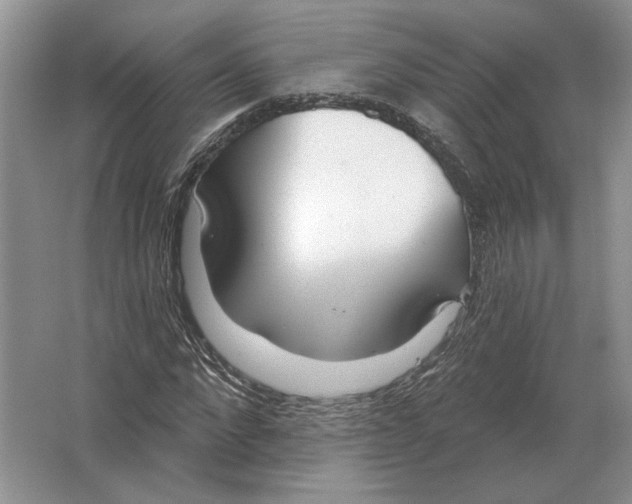 X0000063450872200602171855