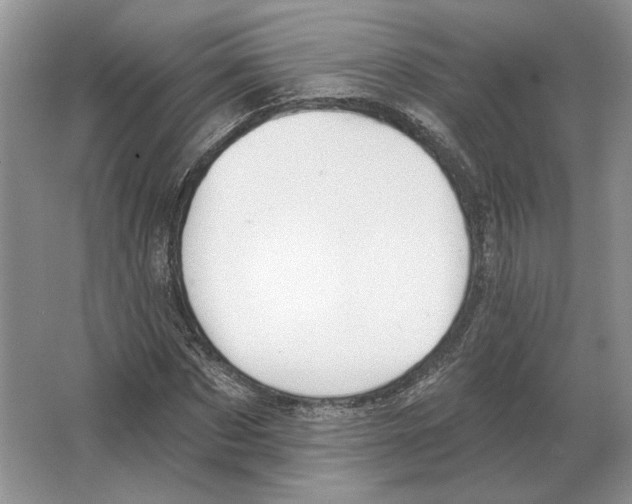 X0000063450873200602171855