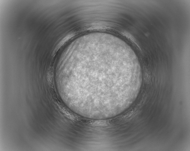 X0000063450874200602171855