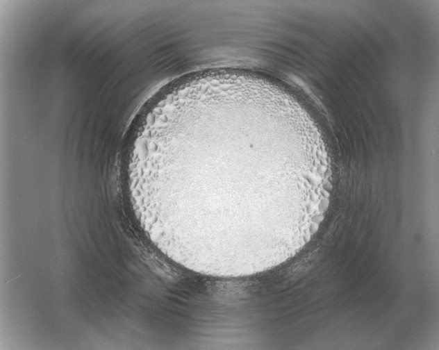 X0000063450875200602171855