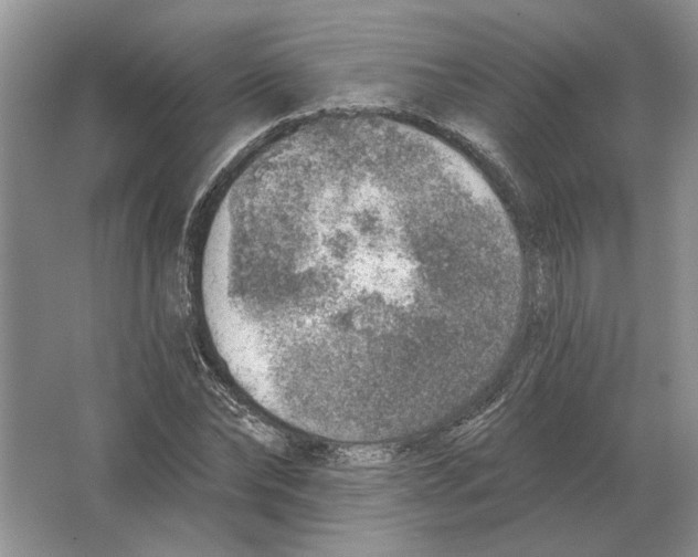 X0000063450878200602171855