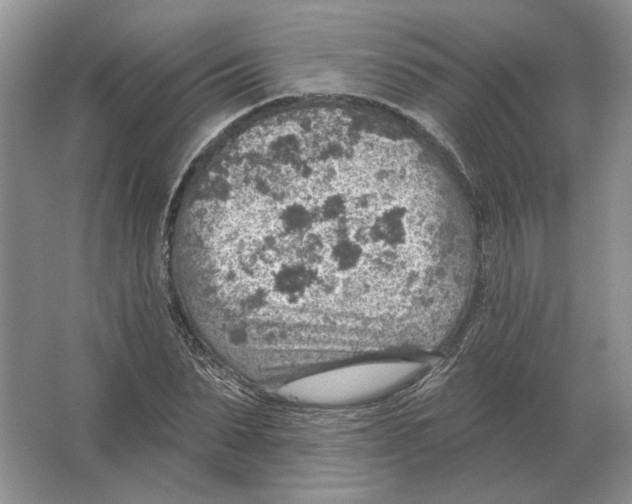 X0000063450879200602171855