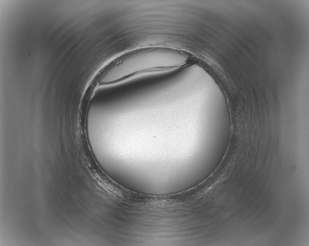 X0000063450880200602171855