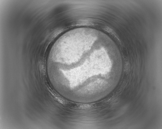 X0000063450882200602171855