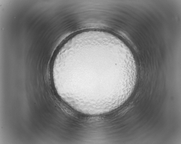 X0000063450883200602171855