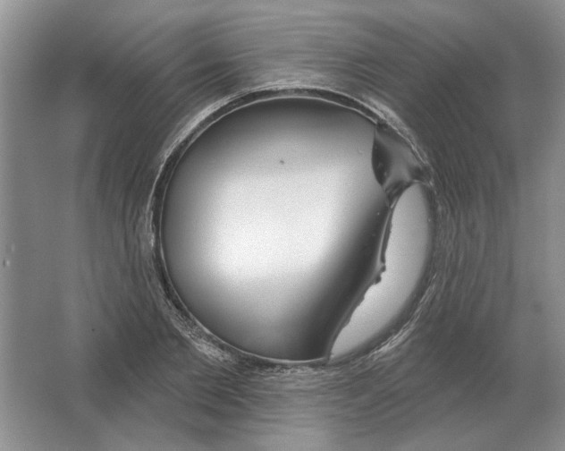 X0000063450885200602171855