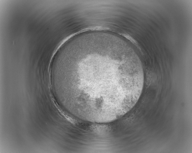 X0000063450886200602171855