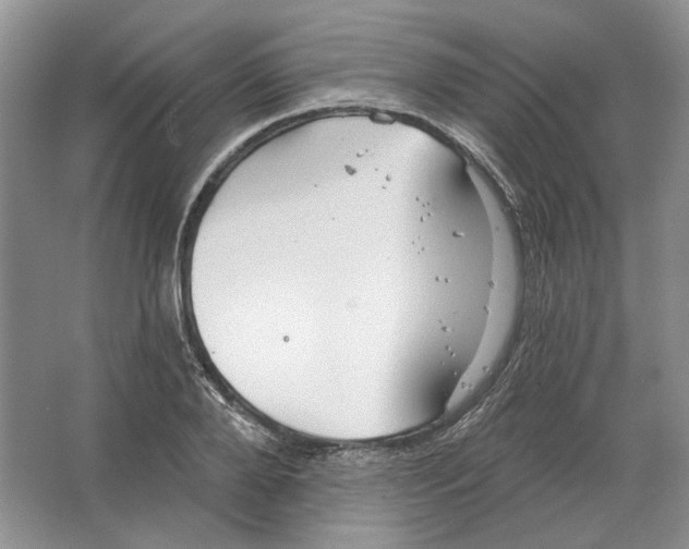 X0000063450888200602171855