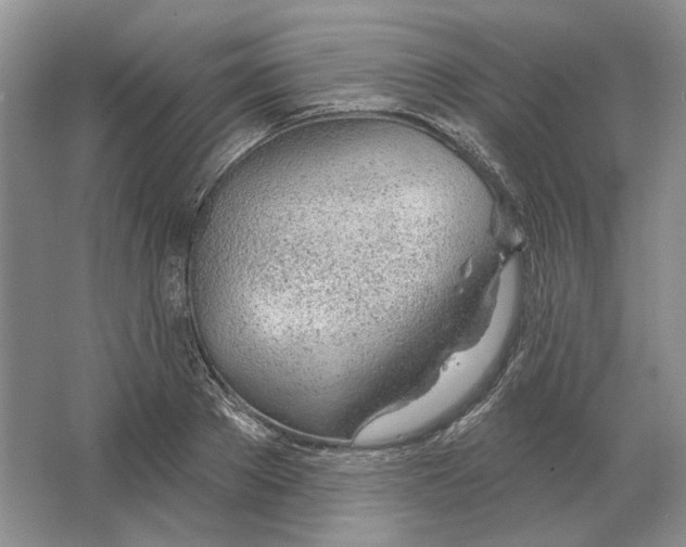 X0000063450889200602171855