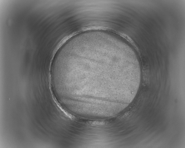 X0000063450890200602171855