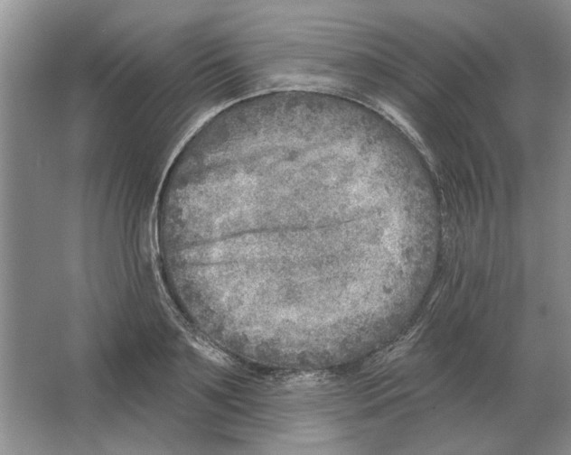 X0000063450891200602171855