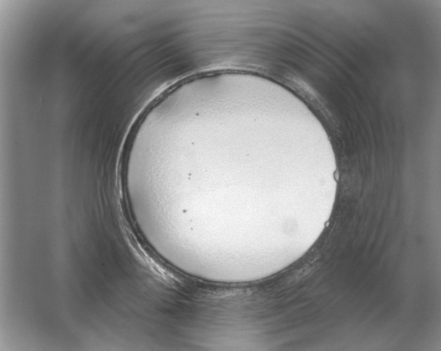 X0000063450892200602171855