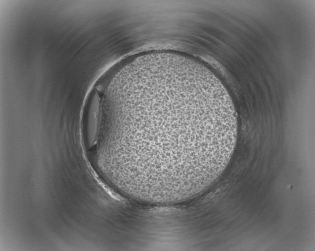 X0000063450894200602171855