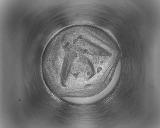 X0000063450895200602171855