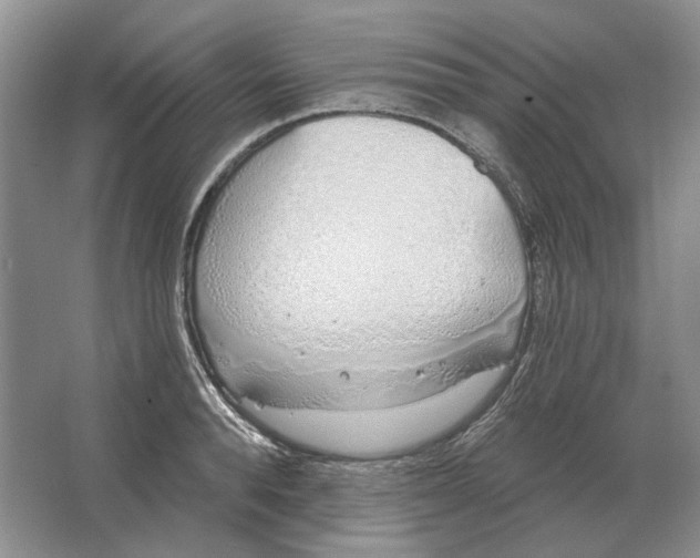 X0000063450896200602171855