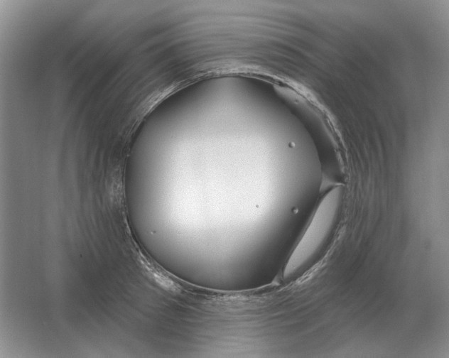 X0000063450897200602171855