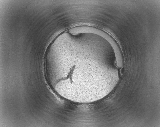 X0000063450898200602171855