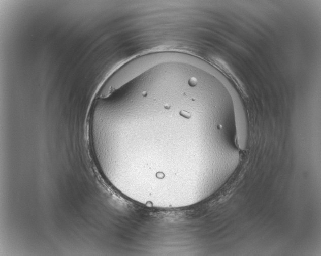 X0000063450900200602171855