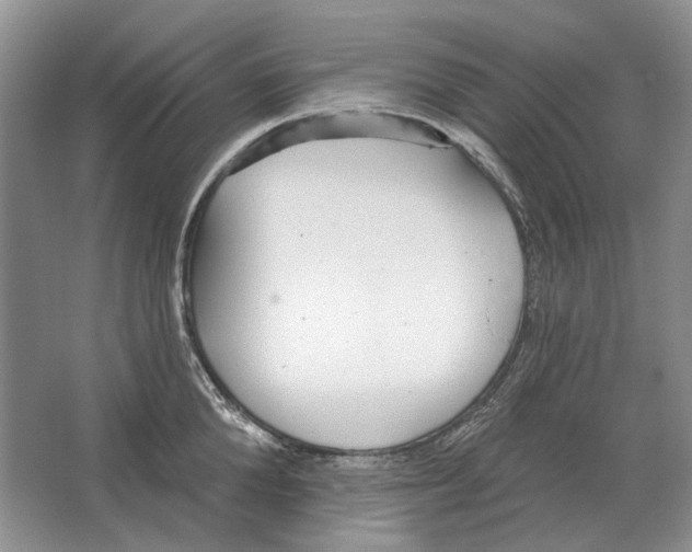 X0000063450904200602171854