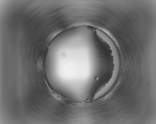 X0000063450905200602171854