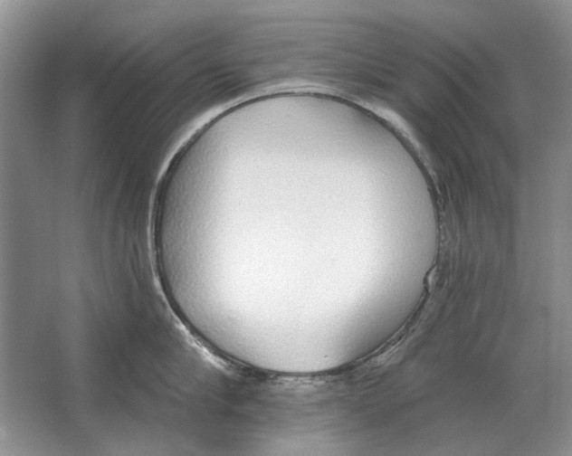 X0000063450910200602171854